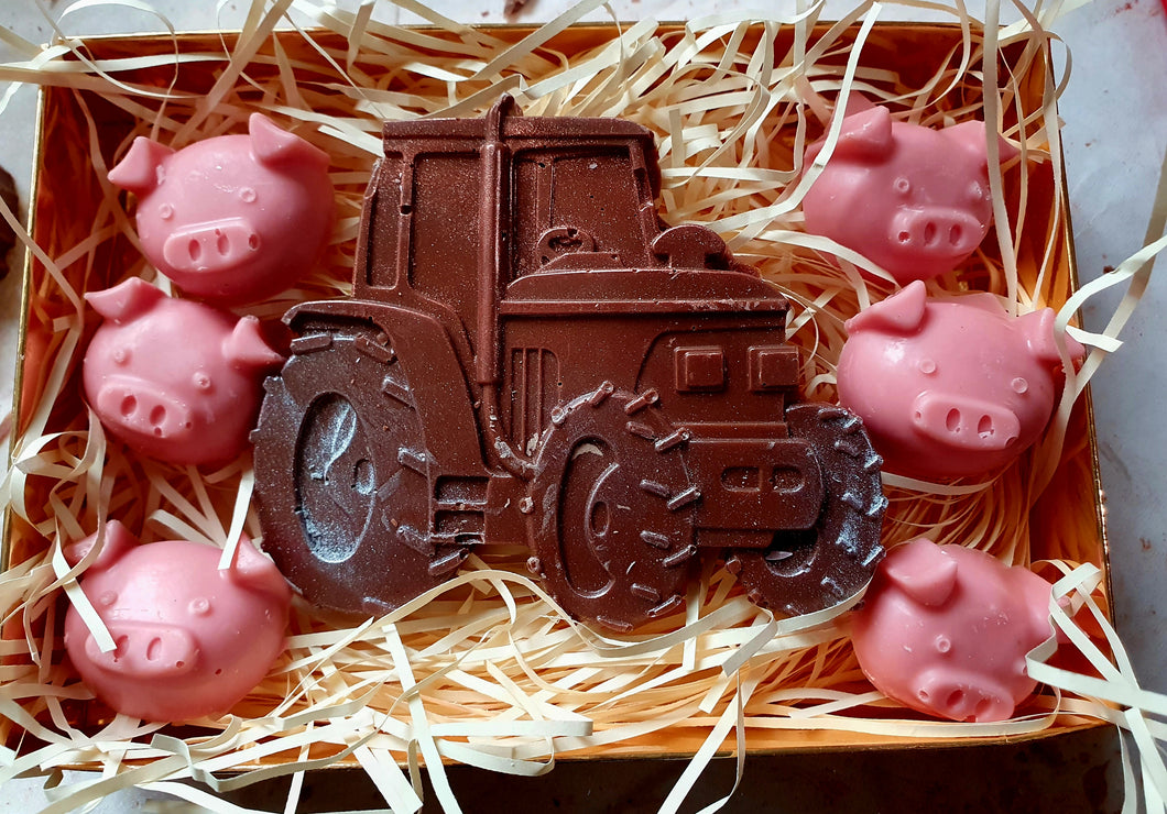 Tractor and pigs