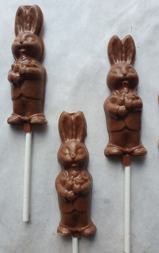 Cute began bunny lolly