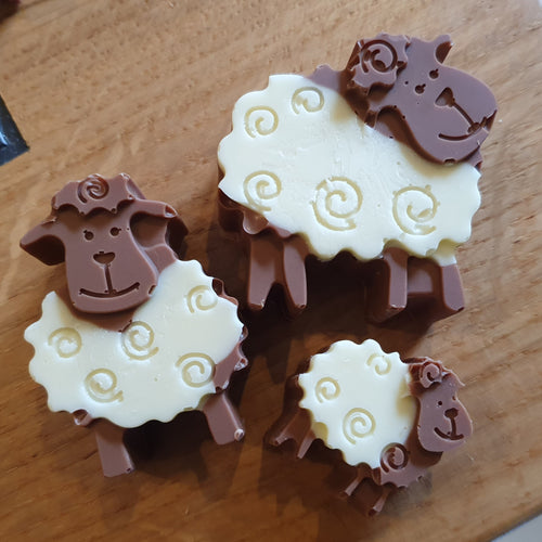 Sheep family